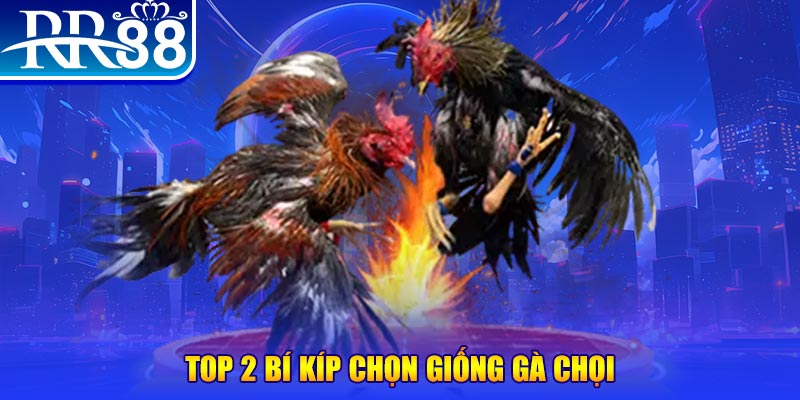 vz88 bắn cá h5