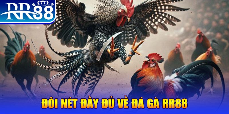 vz88 gà chọi hoà phong