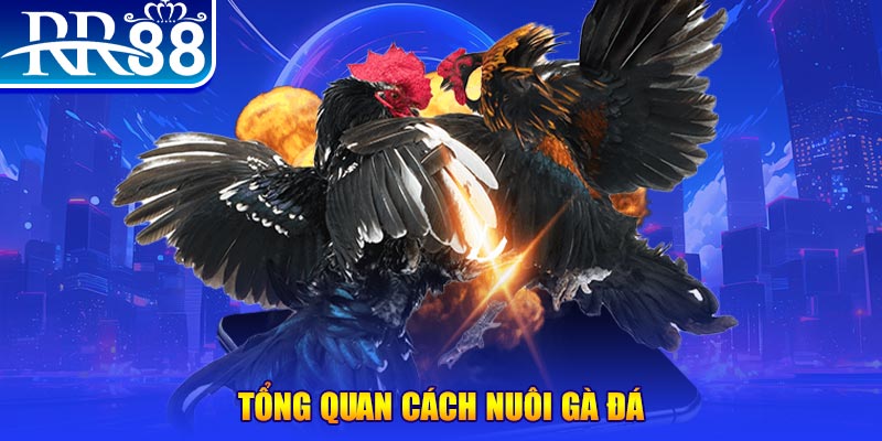 vz88 xổ số thứ ba