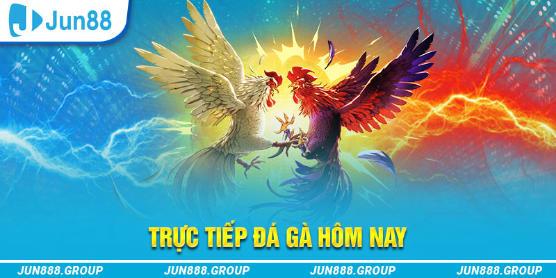 vz88 trực tiếp đá gà thomo