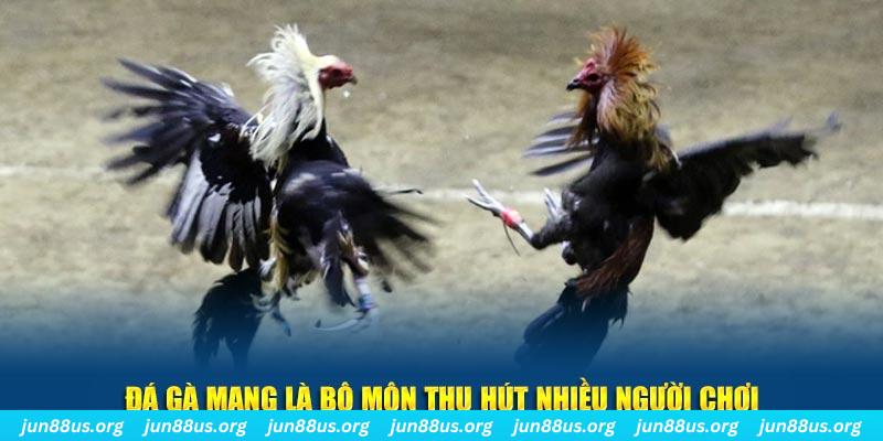 vz88 xổ số long an