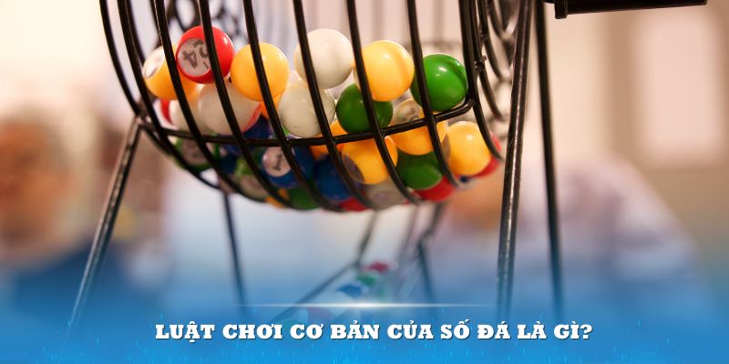 vz88 Đĩa màu ace