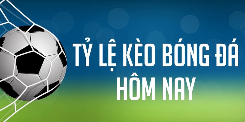 vz88 ÁT CHỦ MÁY HOA QUẢ THẦN TÀI