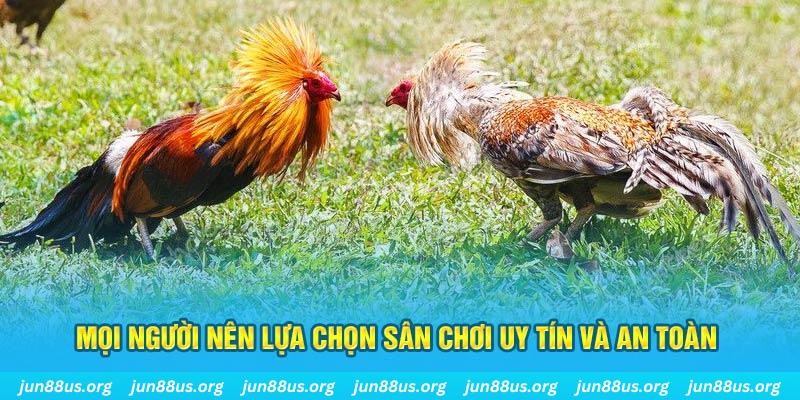 vz88 Tài Xỉu