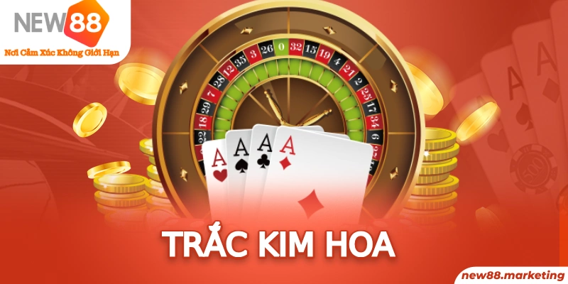 vz88 game bai beme tren may tinh