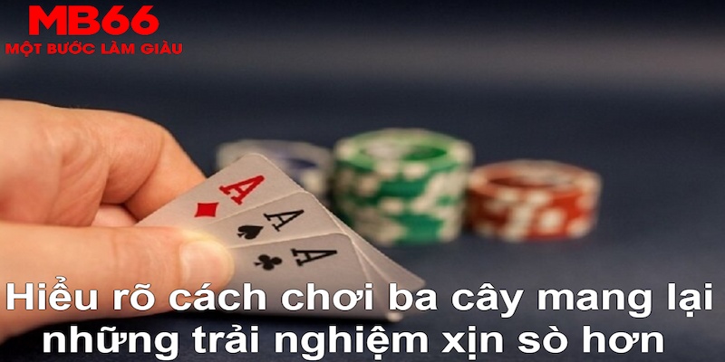 vz88 DB Trực Tuyến