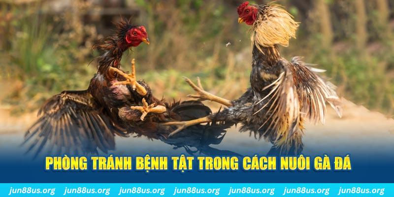 vz88 natural” trong baccarat nghĩa là gì？