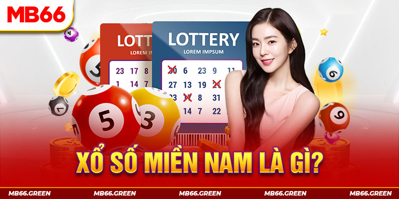 vz88 what is a casino comp program