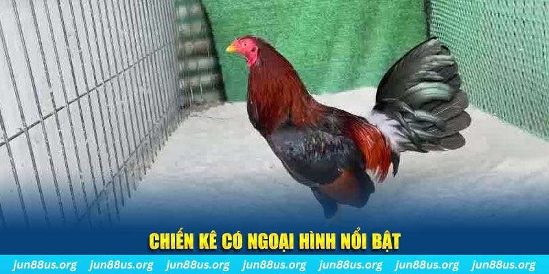 vz88 nhạc slot là gì